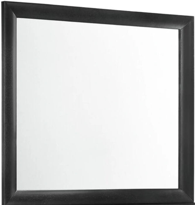 Elements International Emily Mirror in Black image