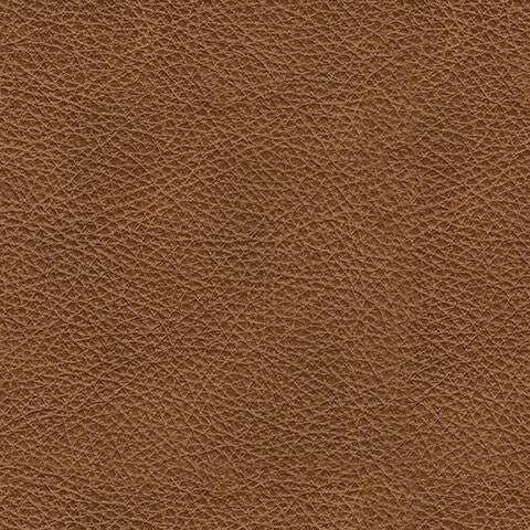 Carianna Sofa - Sweet Furniture (Columbus, Ohio)