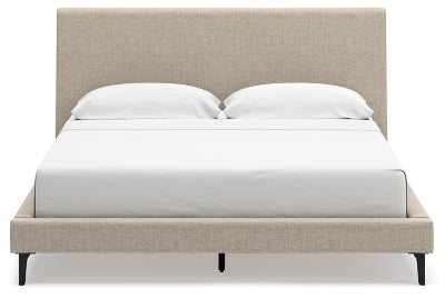 Cielden Upholstered Bed with Roll Slats - Sweet Furniture (Columbus, Ohio)