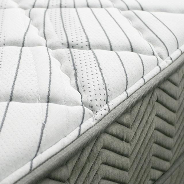 Edrea 10 Tight Top Pocket Coil