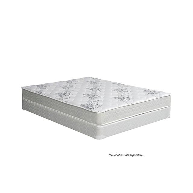 ELBERTYNA White 8" Tight Top Mattress, Cal.King - Sweet Furniture (Columbus, Ohio)