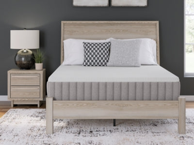 Terra Sleep Medium Mattress - Sweet Furniture (Columbus, Ohio)