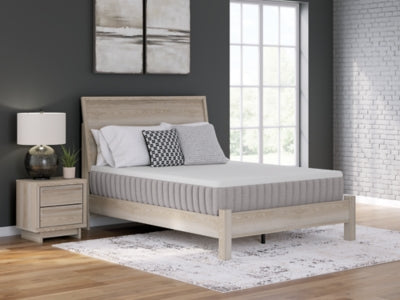 Terra Sleep Medium Mattress - Sweet Furniture (Columbus, Ohio)