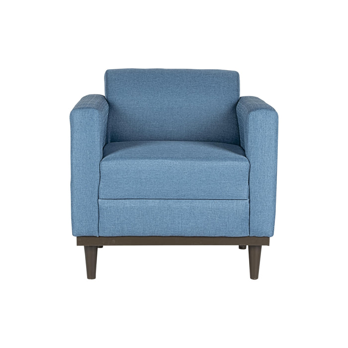 AIDEN CHAIR W/1 THROW PILLOW-BLUE