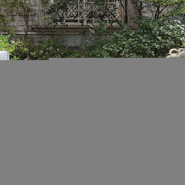Ballyshannon Arm Chair (2/Ctn) - Sweet Furniture (Columbus, Ohio)