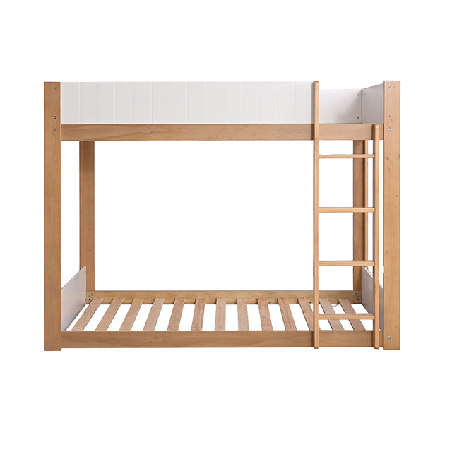 Terri Twin/Twin Bunk Bed - Sweet Furniture (Columbus, Ohio)