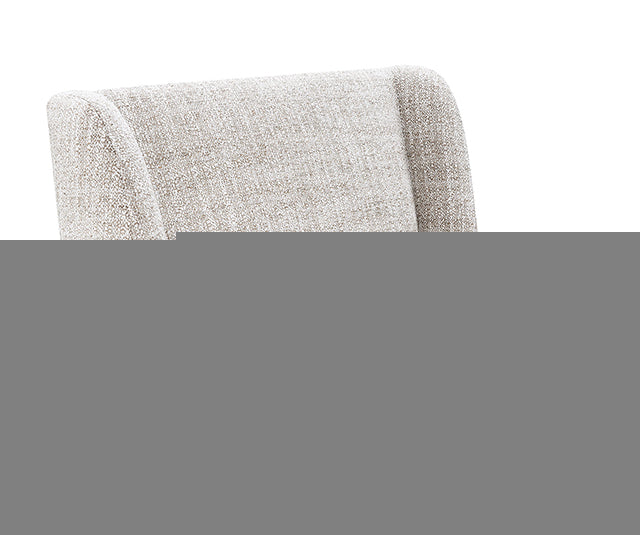 Fede Dining Side Chair (1/CTN)