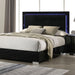 Sinistra Queen Bedroom Set - Sweet Furniture (Columbus, Ohio)